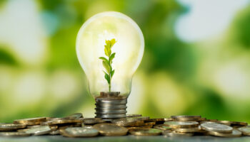 An Image Of A Light Bulb Standing Upright With A Small Plant Inside, Atop A Pile Of Coins.