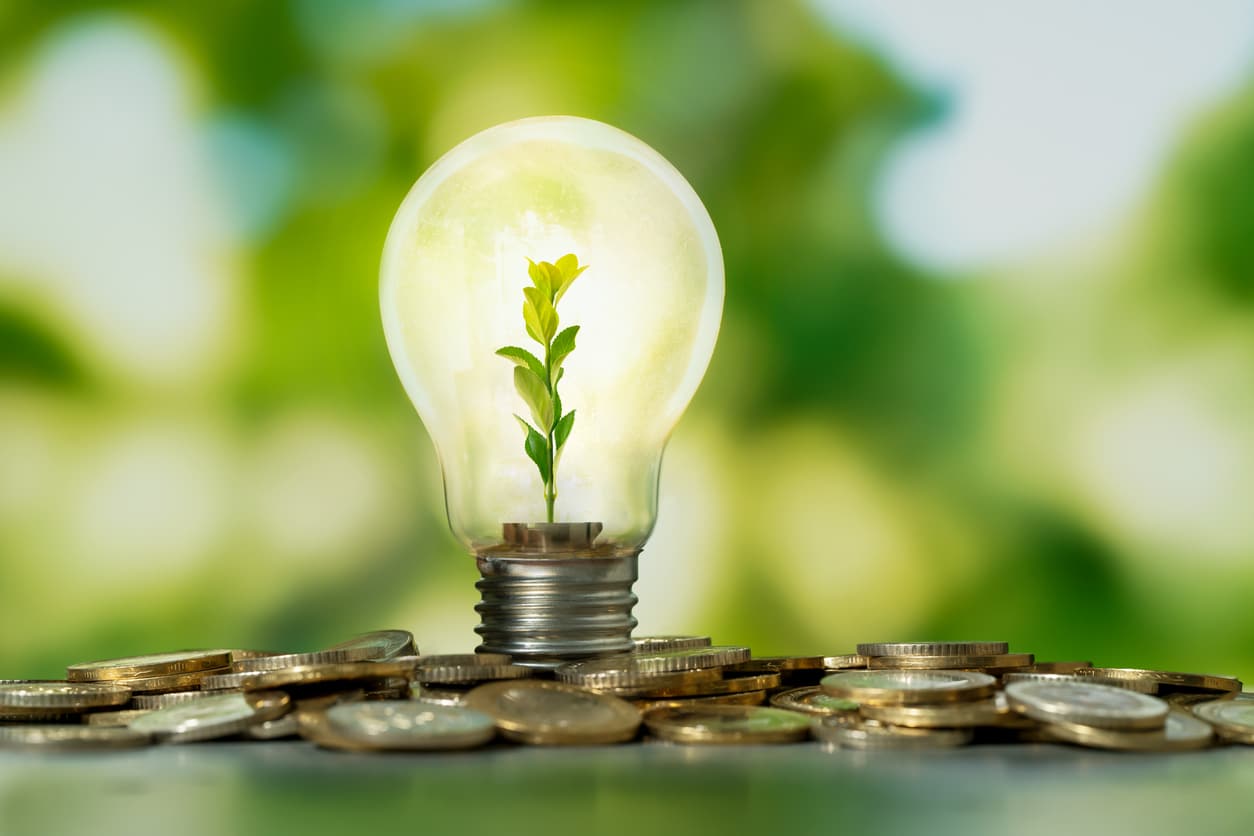 An image of a light bulb standing upright with a small plant inside, atop a pile of coins.