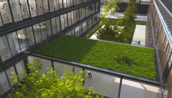 Image Of A Green Building Exterior, Where A Walkway Roof Has Grass And Common Areas Are Greenspace.