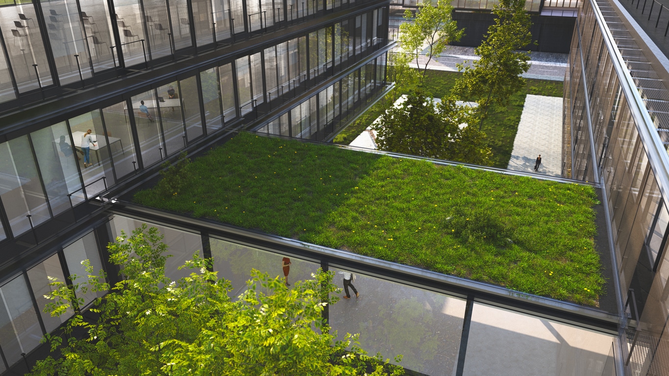 Image of a green building exterior, where a walkway roof has grass and common areas are greenspace.